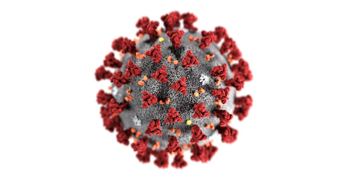 COVID-19 Protocols